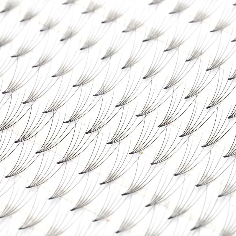 lashes extension