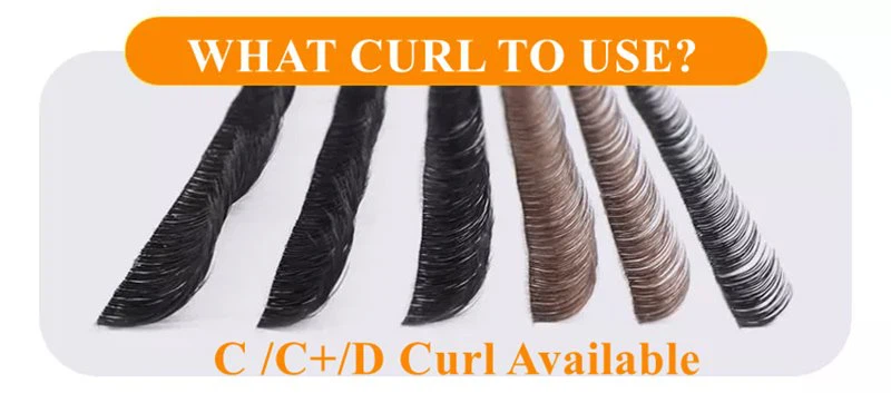 lashes curl lashes curl